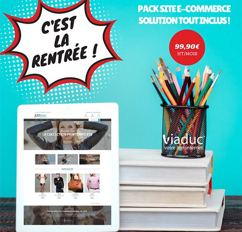 Comportement internaute e commerce 1